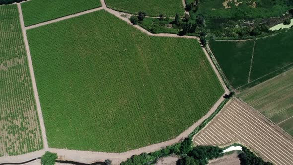 60 fps drone footage of a nice chilean valey landscape full of vineyard