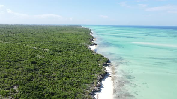 Zanzibar Tanzania  Aerial View of the Indian Ocean