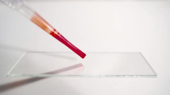 A Closeup of a Red Blood Drop Dropping From a Pipette Onto Laboratory Slide Glasses for Testing