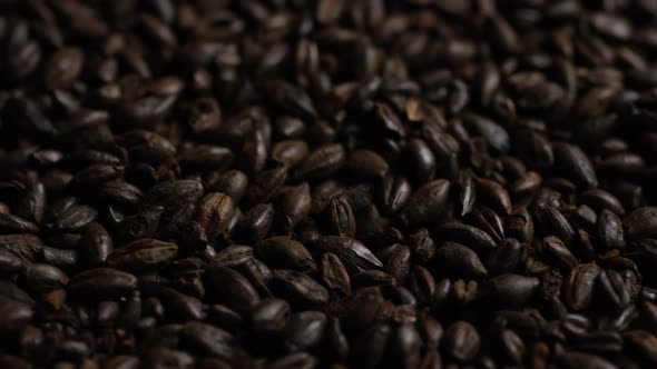 Rotating shot of barley and other beer brewing ingredients