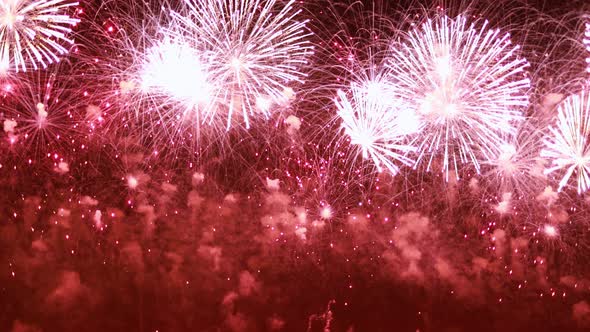 Colorful Fireworks Exploding in the Night Sky