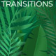 Green Leaves Transitions - VideoHive Item for Sale