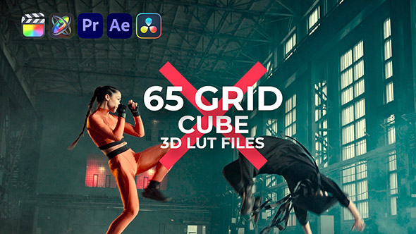 Color LUT Pack Pro