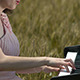 Girl Playing the Piano in Wheat Field 3 - VideoHive Item for Sale
