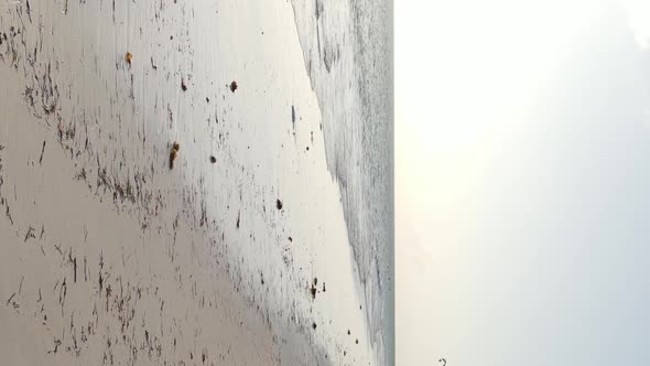 Zanzibar Tanzania  Vertical Video of Low Tide in the Ocean Near the Coast Slow Motion