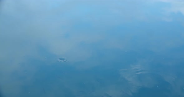 the Surface of the Water Where the Clouds are Reflected