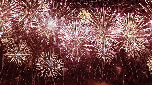 Colorful Fireworks Exploding in the Night Sky