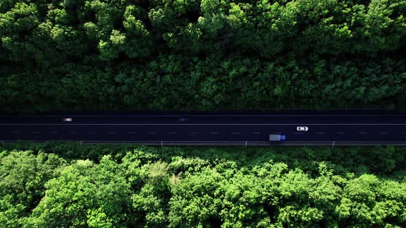 Car Riding in Forest Road During Suny Day in Europe