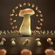 Mushroom - VideoHive Item for Sale