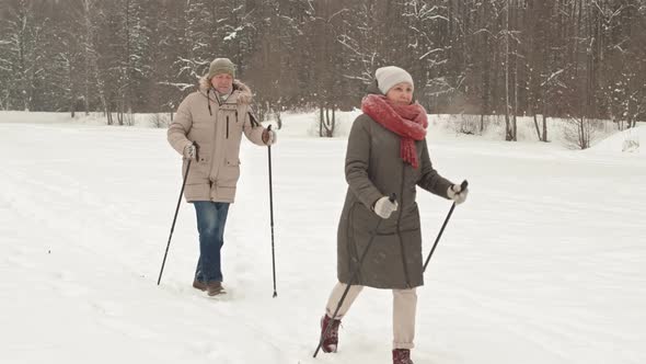 Senior Couple Doing Nordic Walking in Winter alt