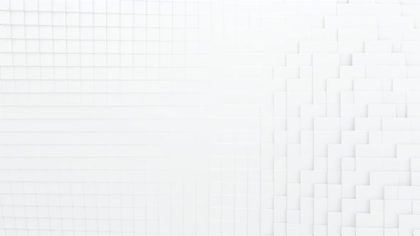 Abstract white square background transition
