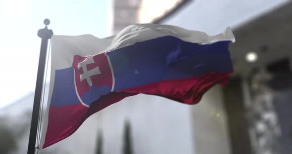 Slovak national flag. Slovakia country waving flag