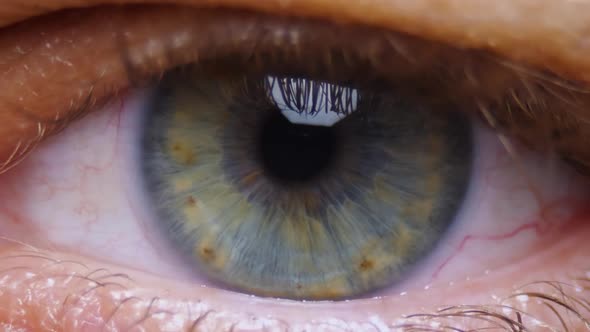 A macro human eye in a contact lens. The blue iris is surrounded by red capillaries