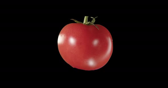 Natural Foods. Tomato In Section. Vegetable. Alpha Channel