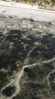 Vertical Video of Low Tide in the Ocean Near the Coast of Zanzibar Tanzania