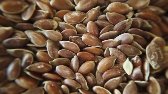 Flax Seeds Rotate. Seed Background