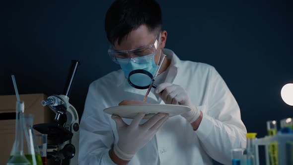 Professional Lab Worker Looking at Meat Sample Through Magnifier