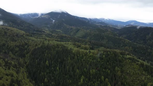 Ukraine, Carpathian Mountains: Beautiful Mountain Forest Landscape. Aerial