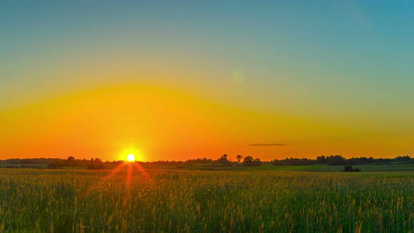 Sunset Over the Field