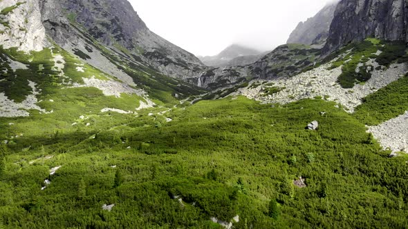 AERIAL: Revealing two Foggy Mountains near Pine Forest