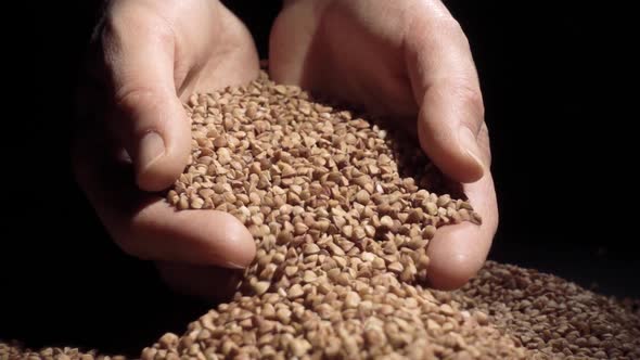 Female Hands Pours Buckwheat Grain. Slow Motion