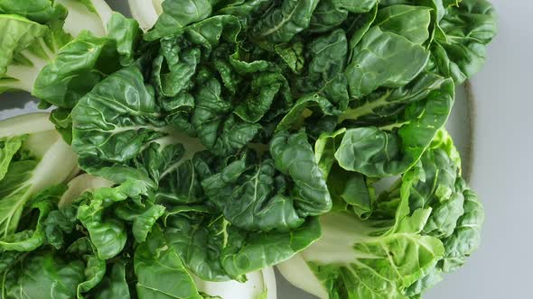 Green Pok Choy Cabbage Leaves