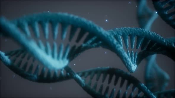 Double Helical Structure of Dna Strand Close-up Animation