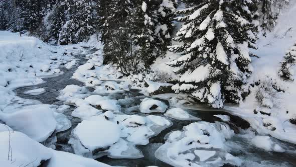 Snow Covered River And Forest