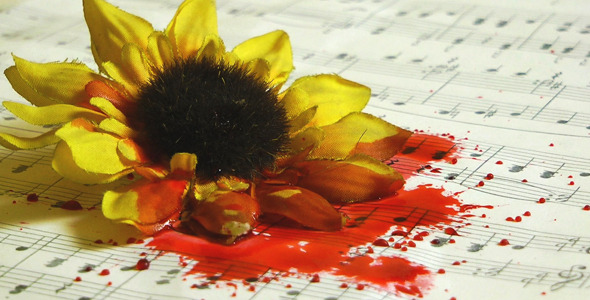 Blood Drops on Yellow Flower and Music Sheets