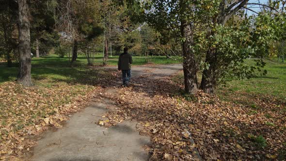 Walking Forest Autumn