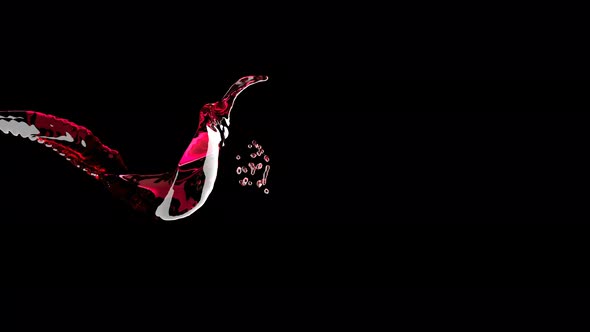 Red Liquid Stream Jet on Black Fluid Art Super Slow Motion 1000 FPS