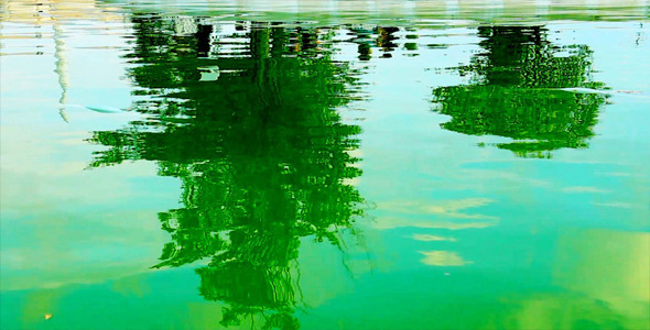 Tree Reflection On The Lake alt