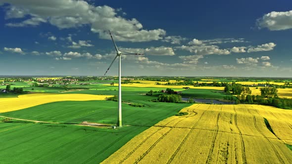 Amazing blooming raps flowers and wind turbine in countryside. alt