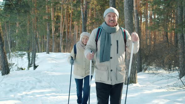 Active Elderly Couple Busy with Nordic Walking in Park Enjoying Exercising Outdoors