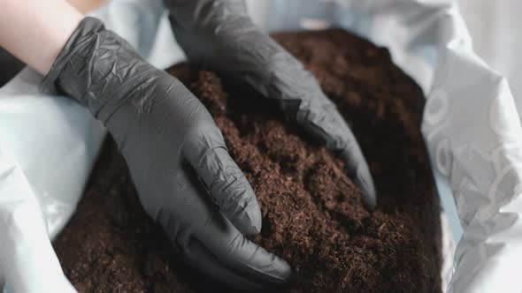 Woman Holding a Soil for Planting Plants