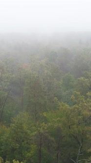 Vertical Video Fog in the Forest Aerial View