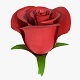 Rose Flower - 3DOcean Item for Sale