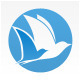 Trust Media - Corporate Bird Logo  - GraphicRiver Item for Sale