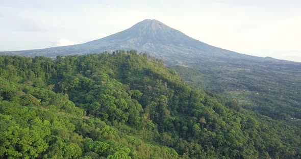 aerial drone view of hill and forest in tropical country Indonesia. variety of plants and vegetation