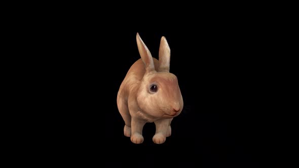 Brown Rabbit Idle Front View alt