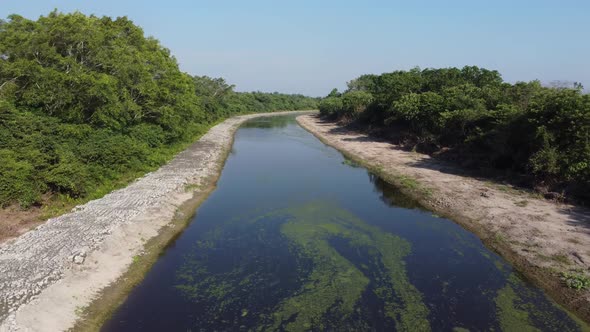 Aerial view algae plant live at the surface of Sungai Jawi river