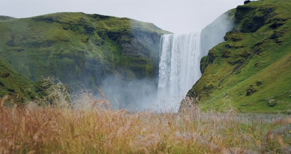 Iceland Skogafoss Waterfall with Foliage Field in Foreground