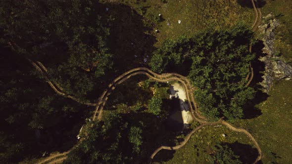 Aerial View of the Road Through the Forest