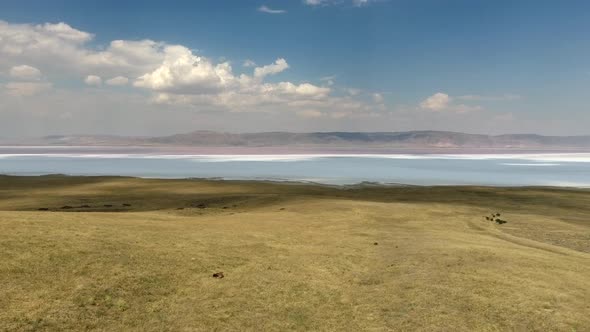 Aerial Pink Colored Salt Lake