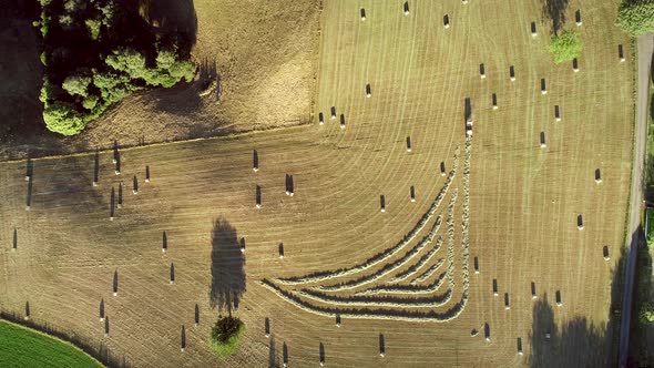 Abstract aerial view of tractor harvesting straw bales in field, France