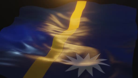 Nauru Flag Low Angle View