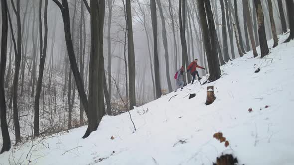 Couple Walking Up the Hill in Forest