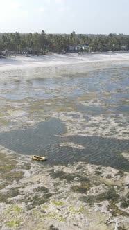 Vertical Video of Low Tide in the Ocean Near the Coast of Zanzibar Tanzania