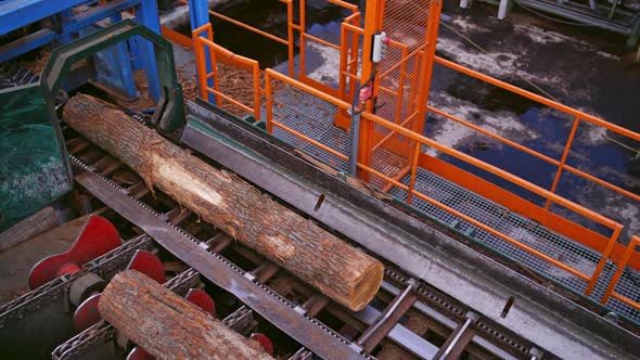 Sawmill. Process of machining logs in a machine. Wood industry. Top view on machinery.