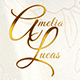 Wedding Invitation - VideoHive Item for Sale